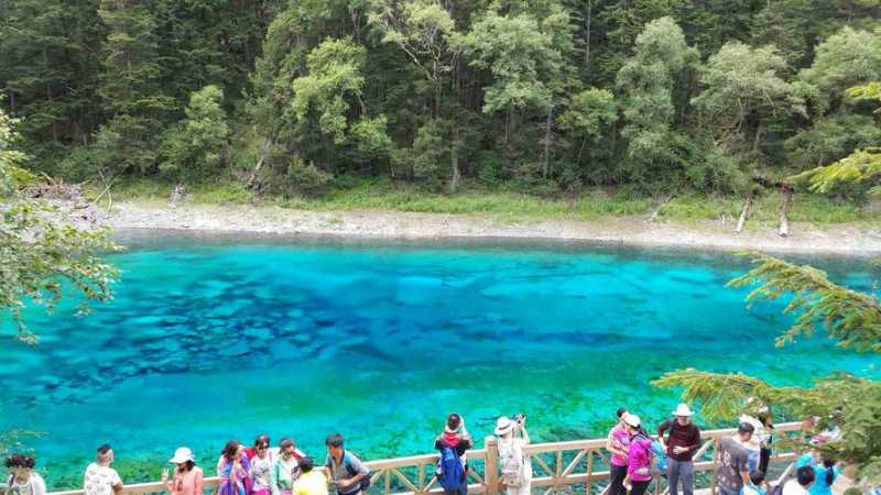 去九寨沟旅游要花多少钱-