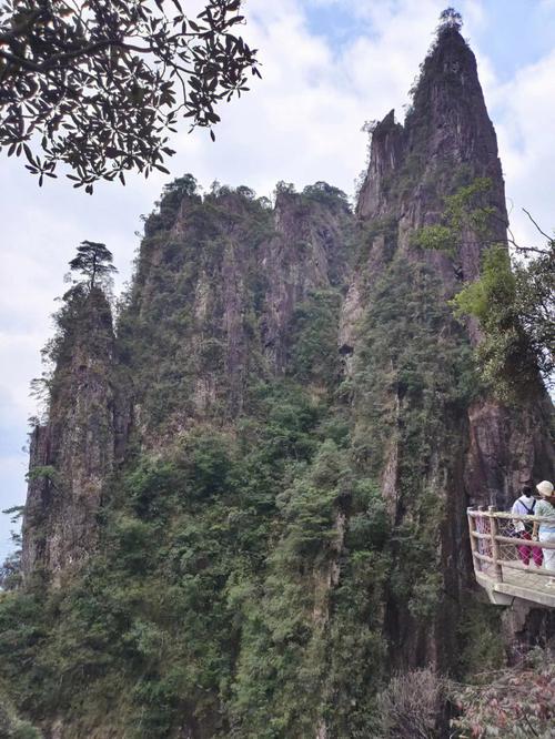 郴州莽山国家森林公园旅游攻略_郴州莽山五指峰旅游攻略