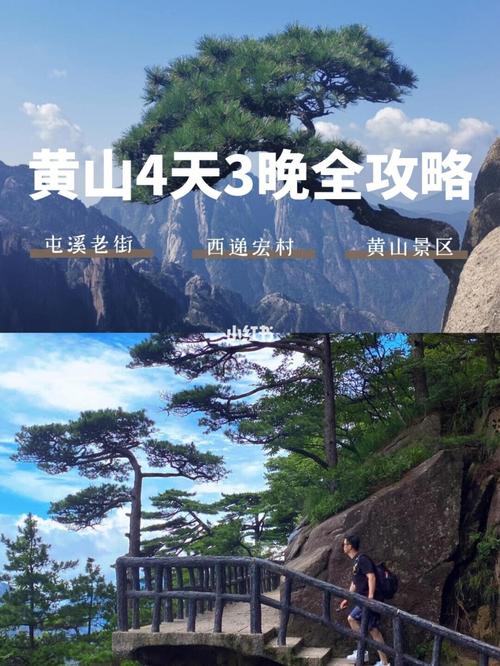 黄山一日游价格_黄山旅游一日游费用