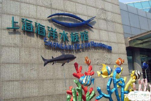 上海海洋水族馆游玩顺序-上海海洋水族馆游玩顺序图