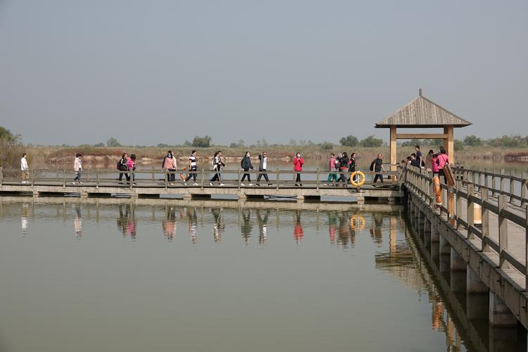 东营旅游景点大全_东营周边旅游景点大全