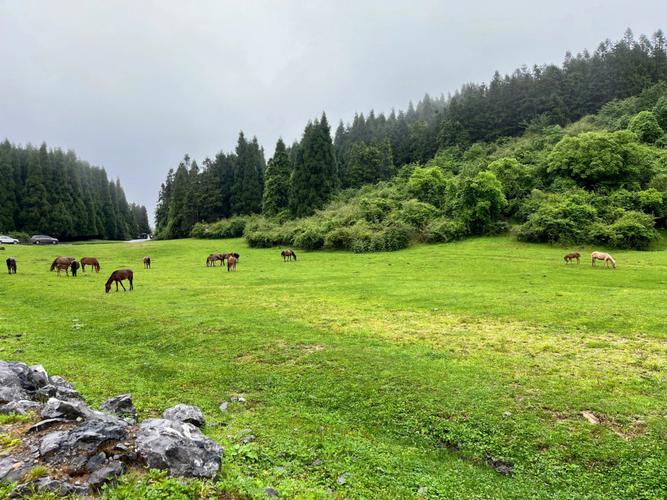 重庆武隆仙女山简介-重庆武隆仙女山简介游记