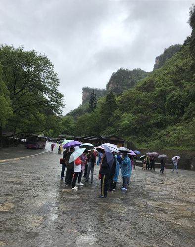 张家界下雨天能玩吗_张家界下雨天能玩吗现在